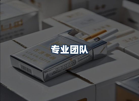 专业团队